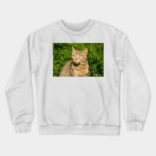 slb contemplate Crewneck Sweatshirt